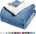 LBRO2M Sherpa Fleece Bed Blanket Twin Size,Super Soft Fuzzy Plush Warm Cozy Fluffy Microfiber Couch Throw Velvet Double Reversible Luxurious Blankets (Light Blue,Twin(65x90 Inches))
