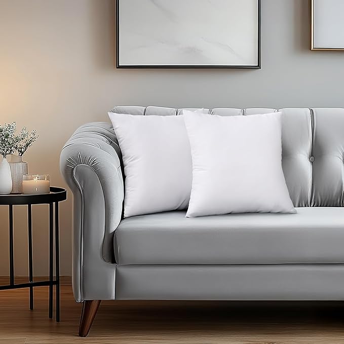 MIULEE Set of 2 Throw Pillow Inserts Premium Pillow Stuffer Square Form for Decorative Cushion Bed Couch Sofa 28x28 Inch