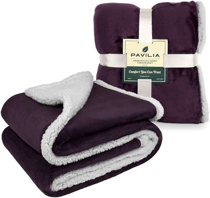 PAVILIA Sherpa Fleece Throw Blanket for Couch, Twin Size, Purple, Plush Soft Fuzzy Sofa Blanket, Cozy Reversible Winter Throw for Women Men, 60x80 Inches