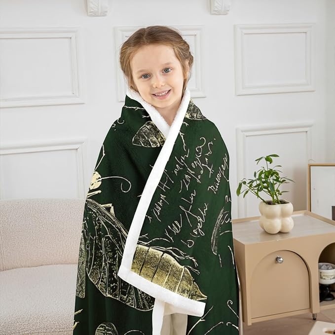 Biology Chalk Blackboard Sherpa Throw Queen 90"x90" Insects Hand Written School Classroom Dragonfly Beetle Moth Educational Theme Fuzzy Blanket For Kids Boys Girls Teens Bed Decor