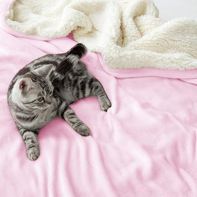 LBRO2M Sherpa Fleece Bed Blanket Queen Size Super Soft Fuzzy Plush Warm Cozy Fluffy Microfiber Couch Throw Velvet Double Reversible Luxurious Blankets,Pink