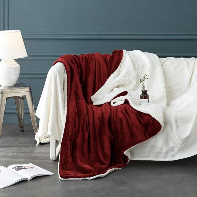 LBRO2M Sherpa Fleece Bed Blanket Queen Size Super Soft Plush Warm Cozy Microfiber Couch Throw Velvet Double Reversible Luxurious Blankets,Red