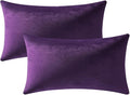 DEZENE Lumbar Pillow Covers 12x20 Purple: Pack of 2 Cozy Soft Velvet Rectangular Modern Luxury Decorative Throw Pillow Cases for Sofa Couch Living Room Bed Home Decor