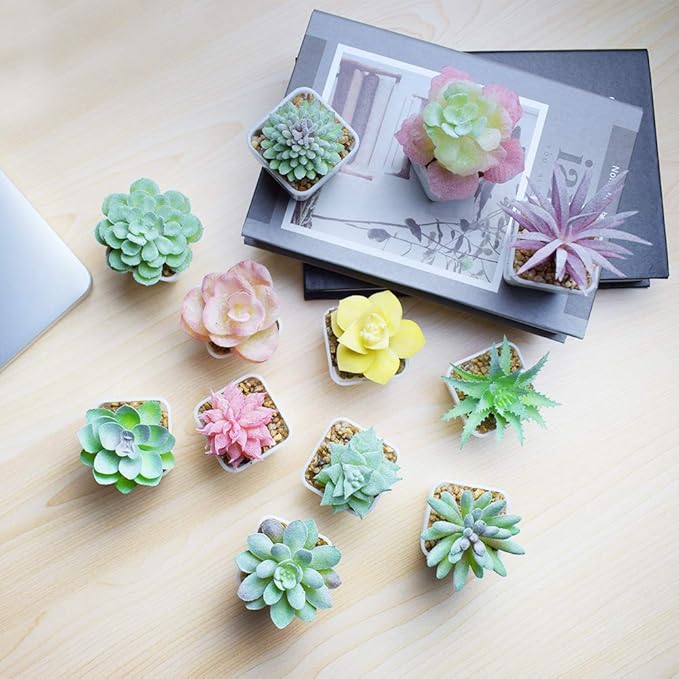 Tiita Artificial Faux Succulents in Pots Fake Plants Plastic Arrangement Planter Small Mini Tiny Decoration for Home Office Desk Window Sill Bathroom Bedroom Outdoor Indoor 12 Set