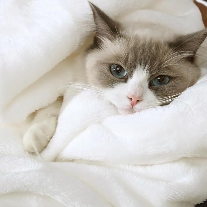 Hansleep Fleece White Throw XL Blanket, Super Soft Flannel Fuzzy Plush Cozy Blanket for All Seasons, White, Throw XL 50x70 Inches