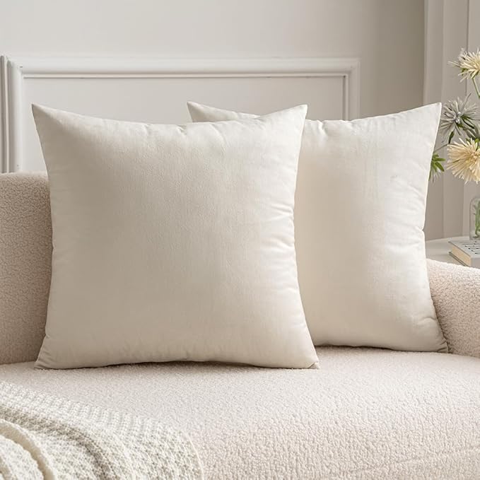 MIULEE 24x24 Inch Euro Sham Velvet Pillow Covers, Set of 2 Large Square Decorative Pillows -Cream White Super Soft for King Bed, Sofa, Couch, Accent Chairs with Hidden Zipper