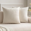 MIULEE 24x24 Inch Euro Sham Velvet Pillow Covers, Set of 2 Large Square Decorative Pillows -Cream White Super Soft for King Bed, Sofa, Couch, Accent Chairs with Hidden Zipper