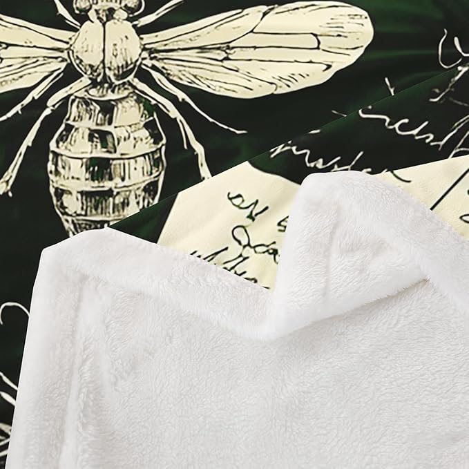 Biology Chalk Blackboard Blanket Throw Twin 60"x80" Insects Hand Written School Classroom Sherpa Blanket Dragonfly Beetle Moth Educational Theme Fuzzy Blanket For Kids Boys Girls Teens Bed Décor