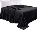 Elegant Comfort Luxury Velvety Feel Blanket, All-Season Lightweight Blanket, Ultra Plush, Soft, Cozy-Fuzzy Flannel Fleece for Couch, Sofa, Bed, Travel, Solid Design, Twin/Twin XL, Black