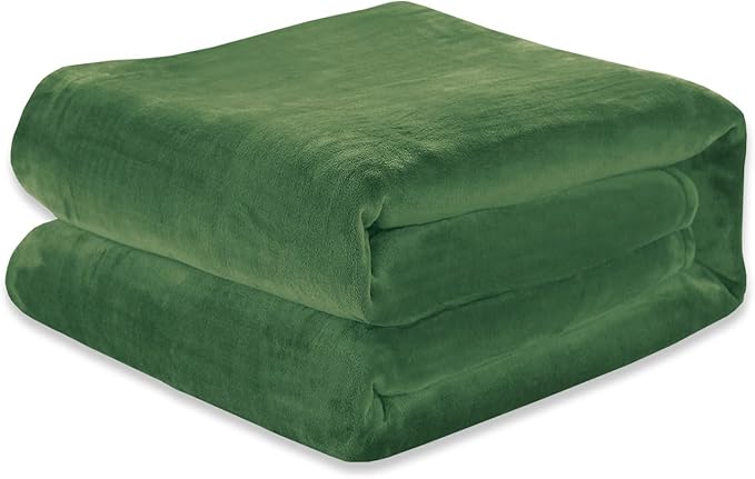 Elegant Comfort Luxury Velvety Softness Fuzzy Plush Micro-Velour Ultra-Soft Blanket, King/California King, Green