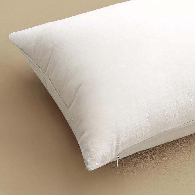 MIULEE 24x24 Inch Euro Sham Velvet Pillow Covers, Set of 2 Large Square Decorative Pillows -Pure White Super Soft for King Bed, Sofa, Couch, Accent Chairs with Hidden Zipper