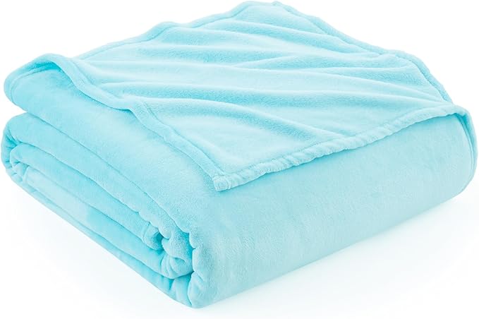 Hansleep Fleece Robin Egg Blue Queen Blanket, Super Soft Flannel Fuzzy Plush Cozy Blanket for All Seasons, Robin Egg Blue, Queen 90x90 Inches