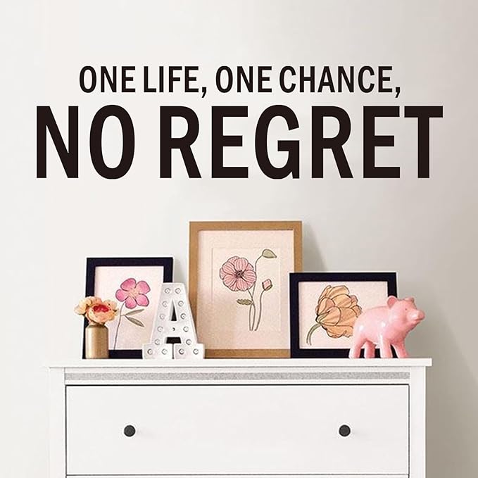 Inspirational Wall Stickers for Living Room: Motivational Quotes Office Gym School Classroom Garage Bedroom Vinyl Art Wall Decals - One Life One Chance No Regret 25" X 7"