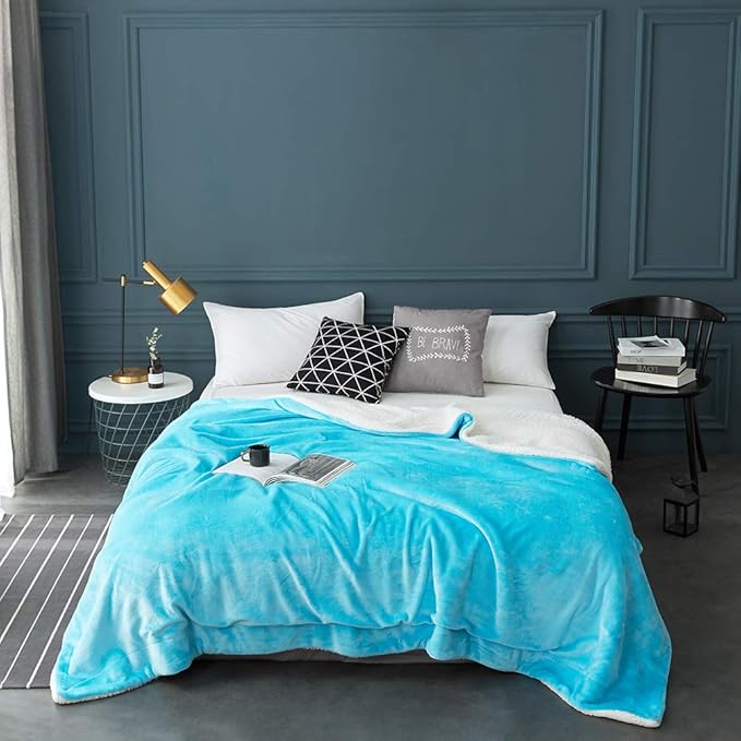 LBRO2M Sherpa Fleece Bed Blanket Fuzzy Plush Warm Super Soft Cozy Fluffy Microfiber Couch (Teal, Twin(65x90 Inches))