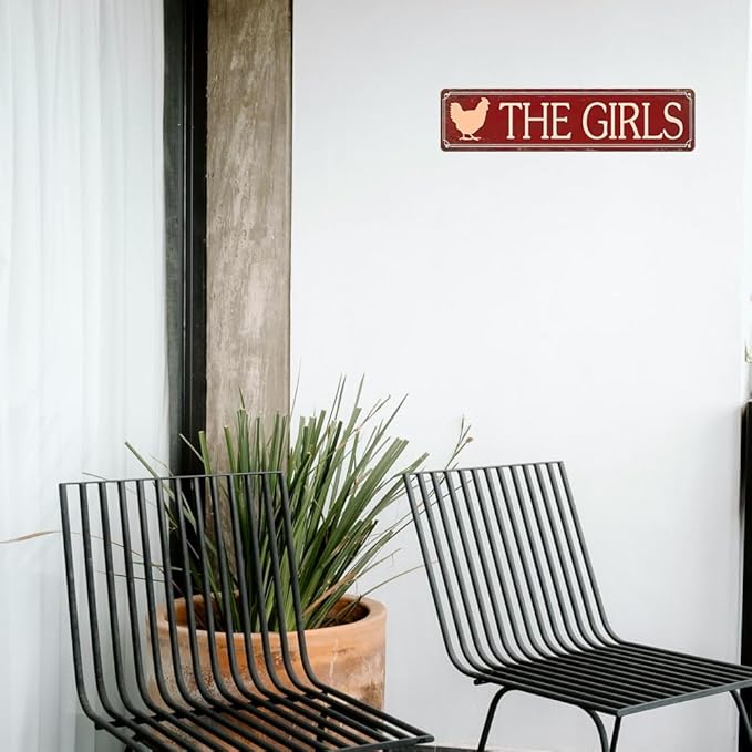 Funny Metal Tin Sign Vintage The Girls Sign For Home, Street, Shop, Garage, Bar, Farm, Garden Wall Decor 16x4 Inches