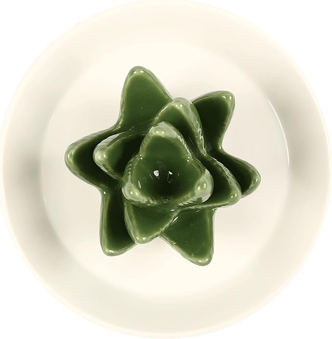 HOME SMILE Ceramic Aloe Ring Holder,Cactus Dish Dish for Jewelry,Christmas Birthday Gifts for Women