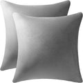 DEZENE Throw Pillow Covers 16x16 Light-Grey: Pack of 2 Cozy Soft Velvet Square Modern Luxury Decorative Throw Pillow Cases for Sofa Couch Living Room Bed Home Decor