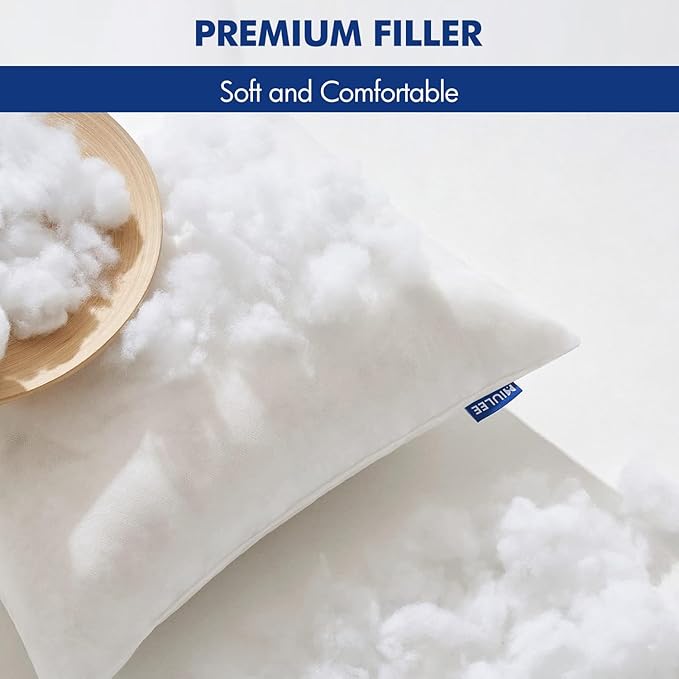 MIULEE 16x16 Pillow Inserts Set of 2, Square Decorative Throw Pillows Premium Fluffy Pillow Forms Sham Stuffer for Living Room Sofa Couch Bed