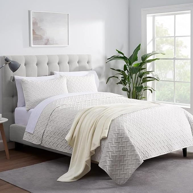 Serta Cozy Plush Thick Fuzzy Super Soft Lightweight Throw Blanket for Bed, Couch, or Travel, Queen (90 in x 90 in), Off White