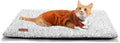 Self Warming Cat Bed Self Heating Cat Dog Mat 29.1 x 18.9 inch Extra Warm Thermal Pet Pad for Indoor Outdoor Pets with Removable Cover Non-Slip Bottom Washable