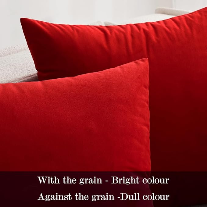 MIULEE 24x24 Inch Euro Sham Velvet Pillow Covers, Set of 2 Large Square Christmas Decorative Pillows -Bright Red Super Soft for King Bed, Sofa, Couch, Accent Chairs