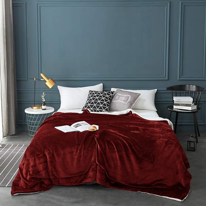LBRO2M Sherpa Fleece Bed Blanket Queen Size Super Soft Plush Warm Cozy Microfiber Couch Throw Velvet Double Reversible Luxurious Blankets,Red
