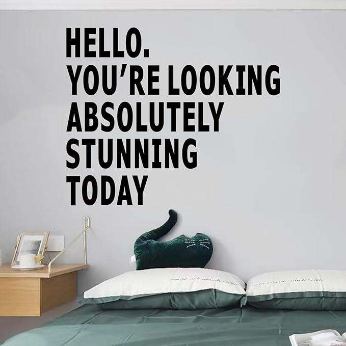 Inspirational Quotes Bathroom Wall Decals : Women Beautiful Home Positive Vinyl Art Wall Stickers - Living Room Bedroom Kitchen Family Wall Decor - Hello You Look Great Today 24" X 20"