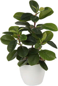 Briful Artificial Plants Mini Camellia Potted Fake Plants Small Faux Plastic Plants Desk Plant Artificial Flowers with Vase for Home Office Desk Kitchen Garden Indoor Decor