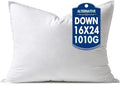 MIULEE 16x24 Synthetic Down Alternative Pillow Insert Decorative Throw Pillow 16 x 24 Inch Body Bed Sleeping Ultra Soft Fluffy Form for Sofa Couch Bed