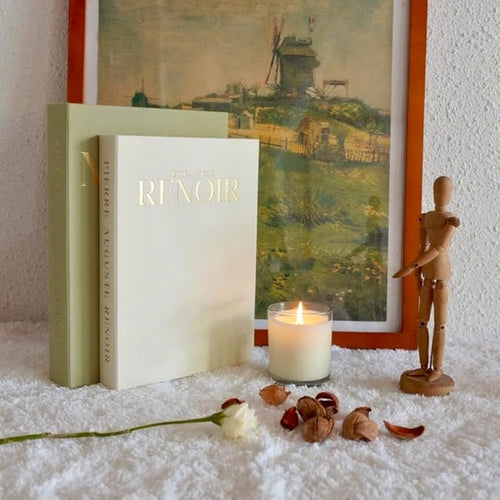 Aesthetic Decorative Books - Set of 2 Linen Fake Books Enhance Your Coffee Table, Home Decor, Living Room, Bookshelf or Mantle Decor, Modern Stackable Faux Book Photo Storage and as a Keepsake Box