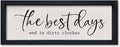 comurdyo Laundry Sign Wall Decor 16"×6" The Best Days End In Dirtiest Clothes Funny Laundry Room Bathroom Wood Framed Hanging Wall Art (Black)