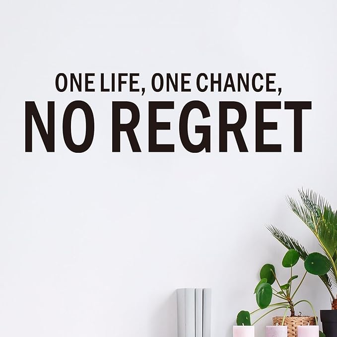Inspirational Wall Stickers for Living Room: Motivational Quotes Office Gym School Classroom Garage Bedroom Vinyl Art Wall Decals - One Life One Chance No Regret 25" X 7"