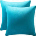 DEZENE Throw Pillow Covers 22x22 Turquoise: Pack of 2 Cozy Soft Velvet Square Modern Luxury Decorative Throw Pillow Cases for Sofa Couch Living Room Bed Home Decor