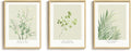 Framed Green Leaf Botanical 3 Piece Wall Art Bedroom, Modern Minimalist Floral Painting Print Canvas Artwork for Walls, Neutral Rustic Nature Pictures Wall Decor Living Room Nursery Kitchen, 12x16 In