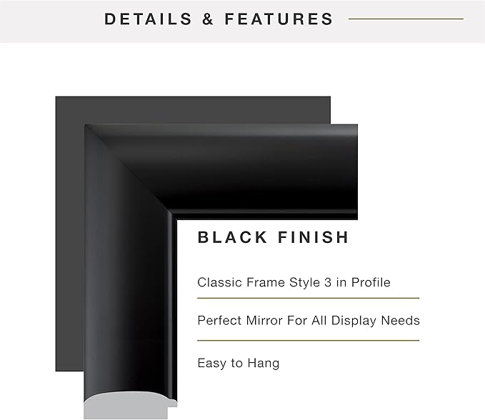 MCS Simplicity 22x28 Large Wall Mirror, Black & Beveled Detail Mirror, Vertical & Horizontal Wall Hanging Mirror for Bathroom, Bedroom & Livingroom