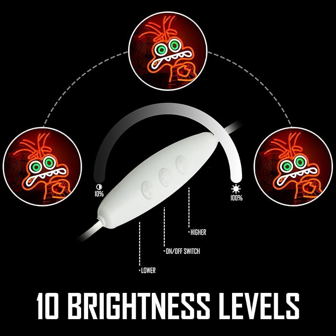 LED Neon Sign Wall Decor, Dimmable Cartoon Anime Design, 11 x 15.7 Inch Light Sign for Bedroom, Birthday Party, Kids Room Decoration