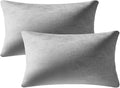 DEZENE Lumbar Pillow Covers 12x20 Light-Grey: Pack of 2 Cozy Soft Velvet Rectangular Modern Luxury Decorative Throw Pillow Cases for Sofa Couch Living Room Bed Home Decor