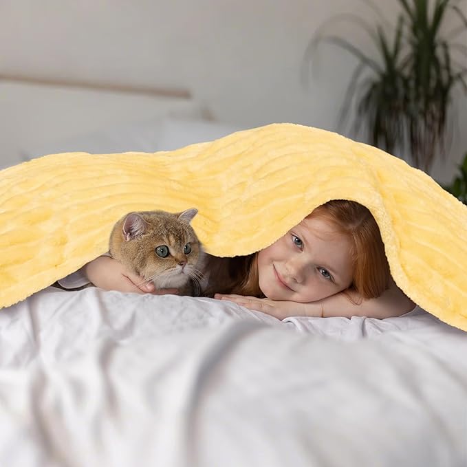 Vessia Flannel Fleece Throw Blanket for Couch,Sofa,Bed, 300GSM Striped Light Yellow Throw Blanket for Kids, Super Soft Warm Cozy Lightweight Home Decor for All-Season(50x40inch)