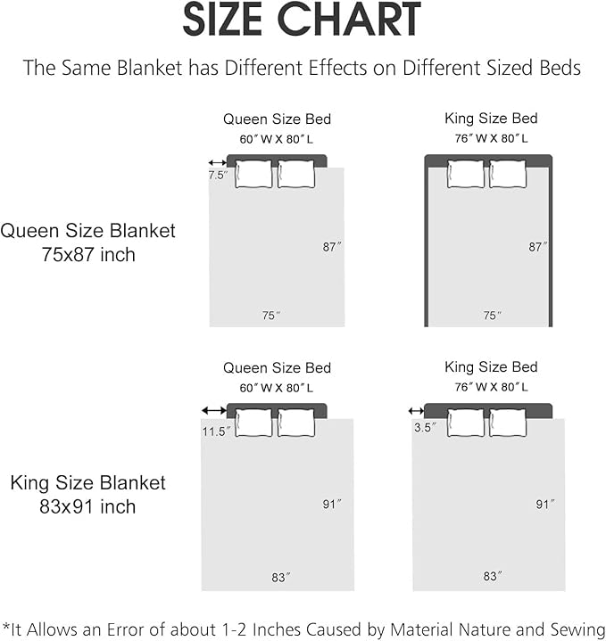 JYK Soft Fleece Bed Blanket Queen Size Dolphin/Lion - 520GSM Fuzzy Cozy Luxury Warm Blanket Microfiber, 2 Ply Reversible A&B Pattern Room Home Decor Christmas Decorations, 75" x 87 inches, 5 LB