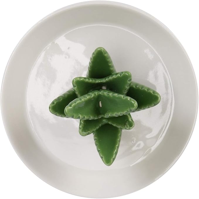 HOME SMILE Ceramic Aloe Ring Holder with Derorative White Dish Dish for Jewelry,Christmas Birthday Gifts