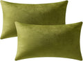 DEZENE Lumbar Pillow Covers 12x20 Chartreuse: Pack of 2 Cozy Soft Velvet Rectangular Modern Luxury Decorative Throw Pillow Cases for Sofa Couch Living Room Bed Home Decor