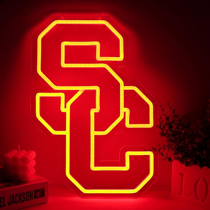 Team Neon Signs，Neon Signs for Wall Decor，LED Neon Lights for Bedroom、Game Room、or Man Cave，Birthday、Christmas Gifts for kids