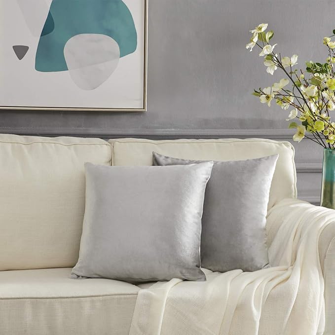 GIGIZAZA Decorative Throw Pillow Covers 18 x 18,Sofa Cushion Grey Pillow Covers,Velvet Pillow Square Cushion Covers (18x18inch(45x45cm)-4pcs, Silver Grey)