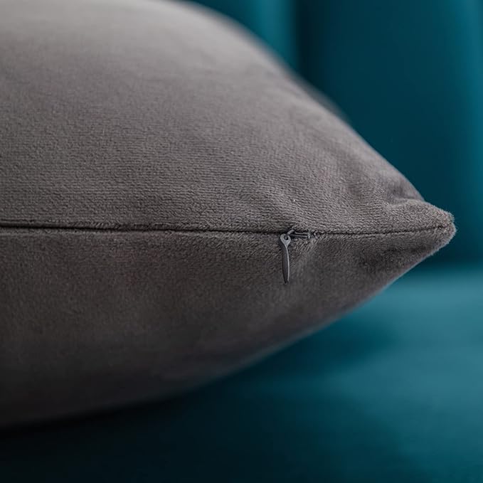 DEZENE Throw Pillow Covers 20x20 Dark-Grey: 2 Pack Cozy Soft Velvet Square Decorative Pillow Cases for Farmhouse Home Decor