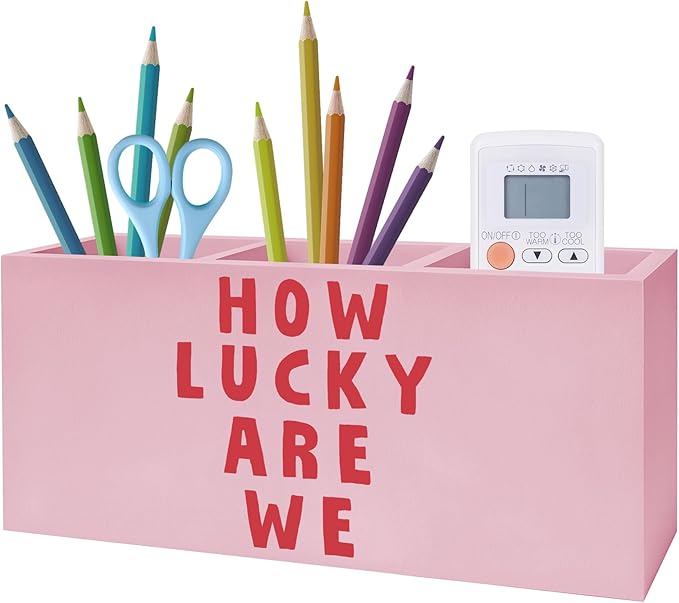 Pink Positive Quotes Makeup Brush Holder, Pink Preppy Toothbrush Holders for Girls Bathroom, How Lucky Are We Pen Holder Organizer for Dorm Bedroom Desk Accessories
