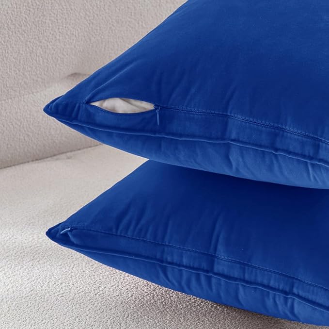 MIULEE Royal Blue Velvet Throw Pillow Covers 20x20 Soft Decorative Solid Square Cushion Cases Pack of 2 Modern Luxury Home Decor for Couch, Sofa, Bedroom