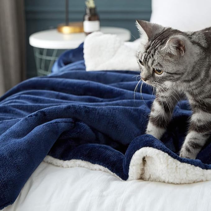 LBRO2M Sherpa Fleece Bed Blanket Queen Size Super Soft Fuzzy Plush Warm Cozy Fluffy Microfiber Couch Throw Velvet Double Reversible Luxurious Blankets,Navy Blue