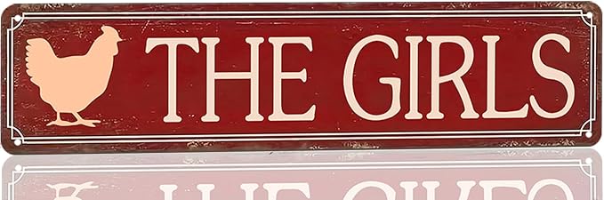 Funny Metal Tin Sign Vintage The Girls Sign For Home, Street, Shop, Garage, Bar, Farm, Garden Wall Decor 16x4 Inches