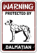 snowsun Warning Dog Metal Signs Protected by Dalmatian Tin Sign for Home Garden Yard Street Wall Decor 8×12 Inches