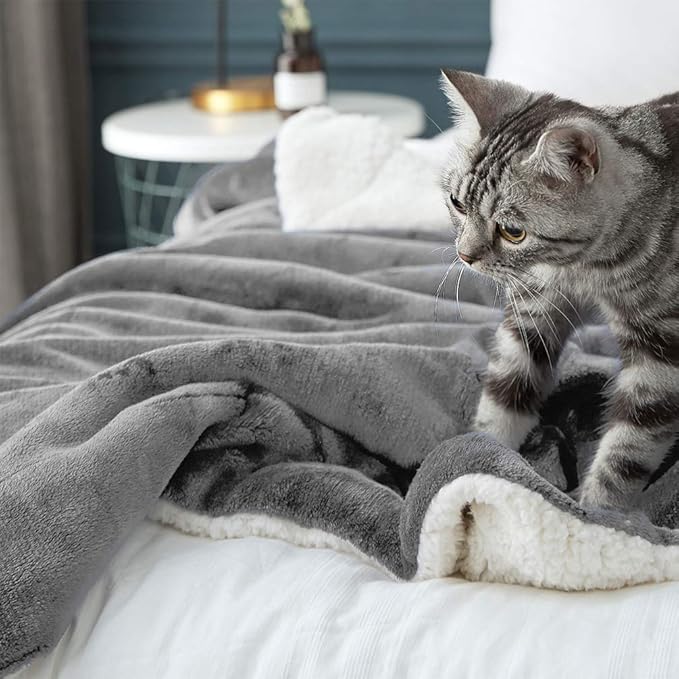 LBRO2M Sherpa Blanket Super Soft Fuzzy Plush Warm Cozy Fluffy Throw Reversible Luxurious Blankets (Queen(90x90 Inches), Grey)